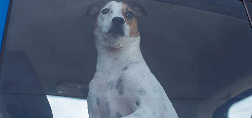 Car Lockout Solutions in Barstow, California