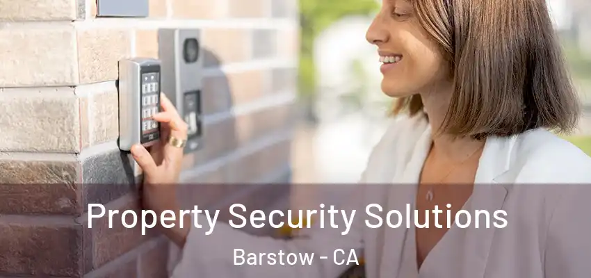  Property Security Solutions Barstow - CA